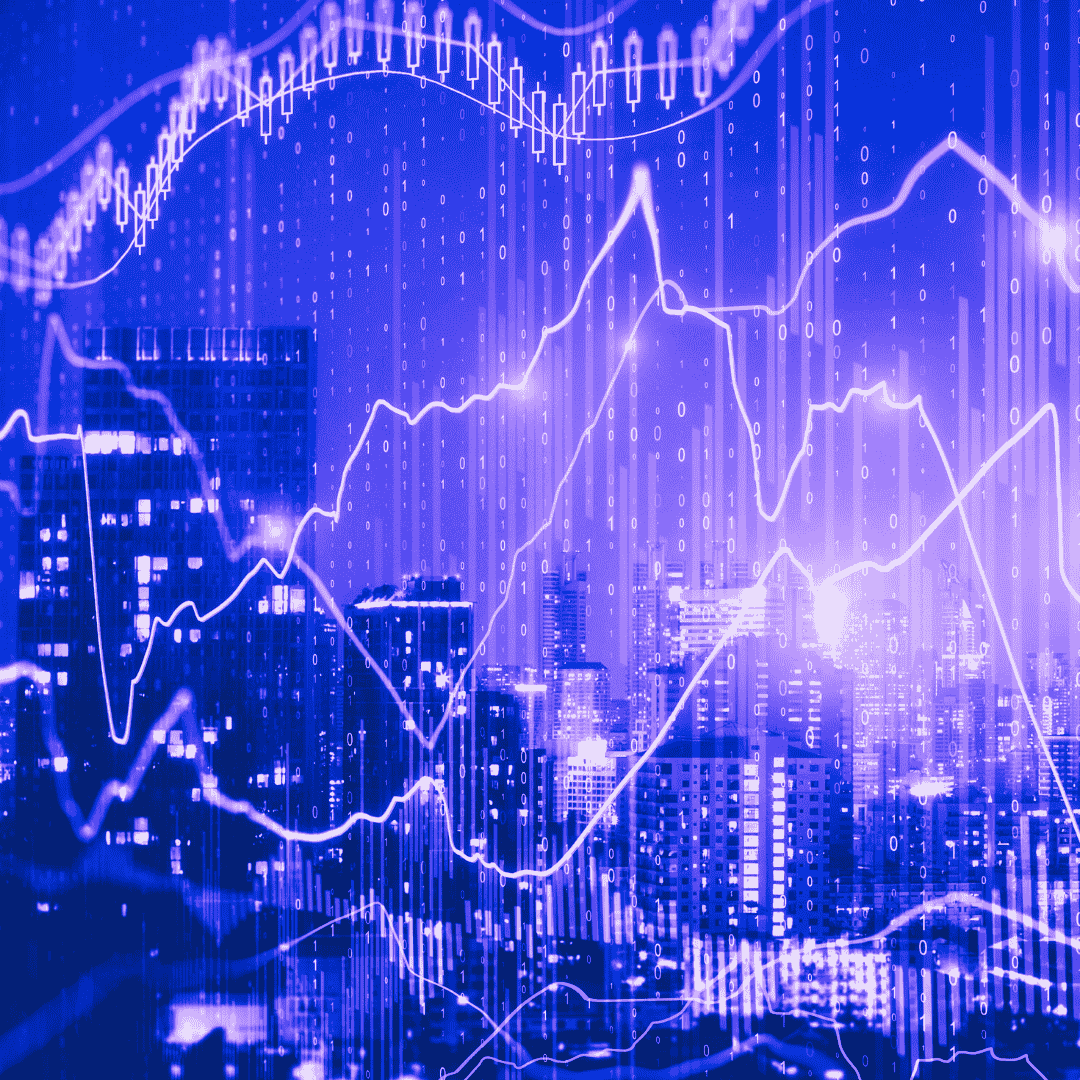 CREDIT COLLECTOR - PALERMO