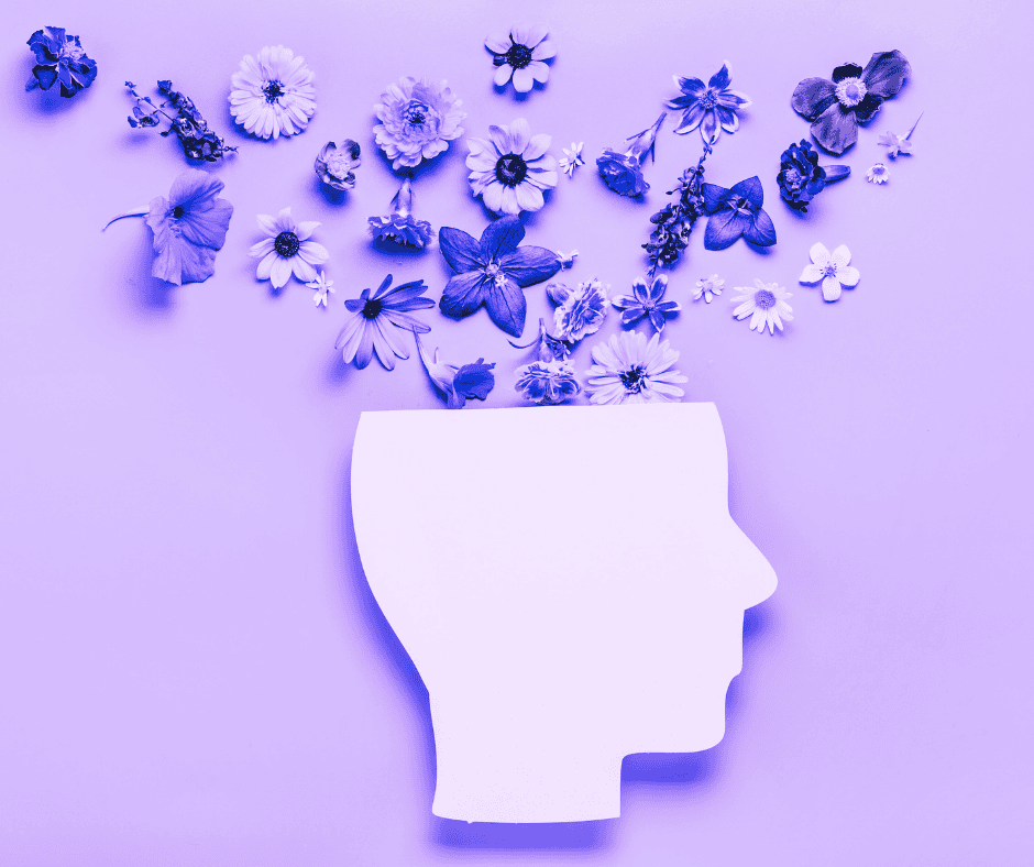 Social Media Marketing & Content Creator - Caserta 